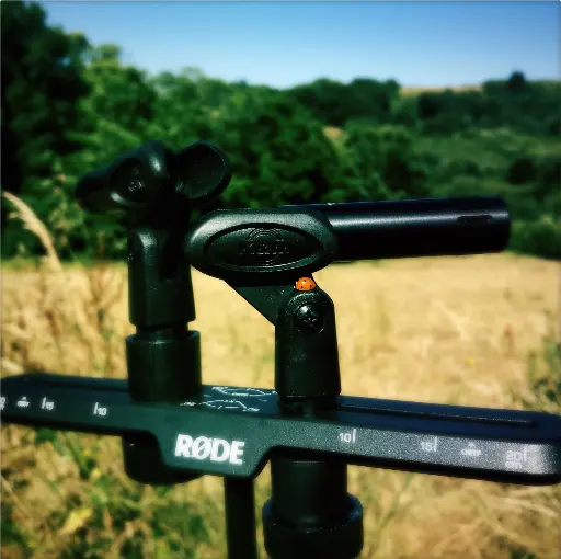 marcelle delpastre oreille compagnie Lilo cm4 coccinelle